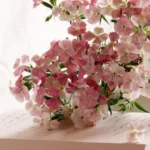 初めましてのｓ様20230909